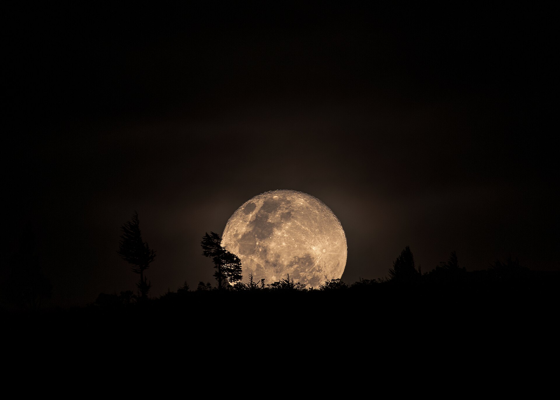 luna