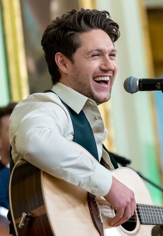 niall horan